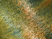Ripples VIII